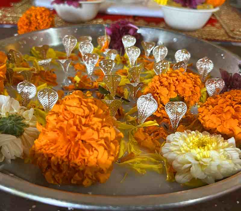 kalsarp puja trimbakeshwar