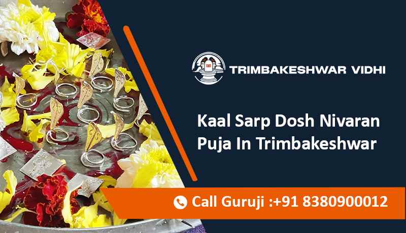 Kaal Sarp Dosh Nivaran Puja In Trimbakeshwar