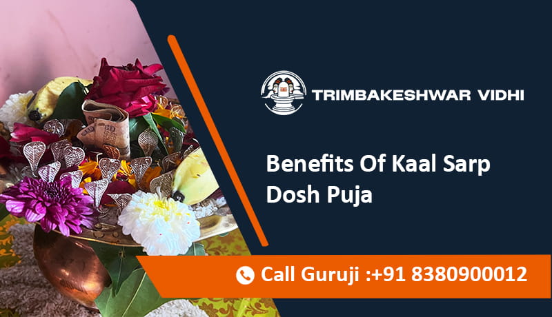 Benefits Of Kaal Sarp Dosh Puja