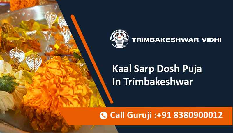 Kaal Sarp Dosh Puja In Trimbakeshwar