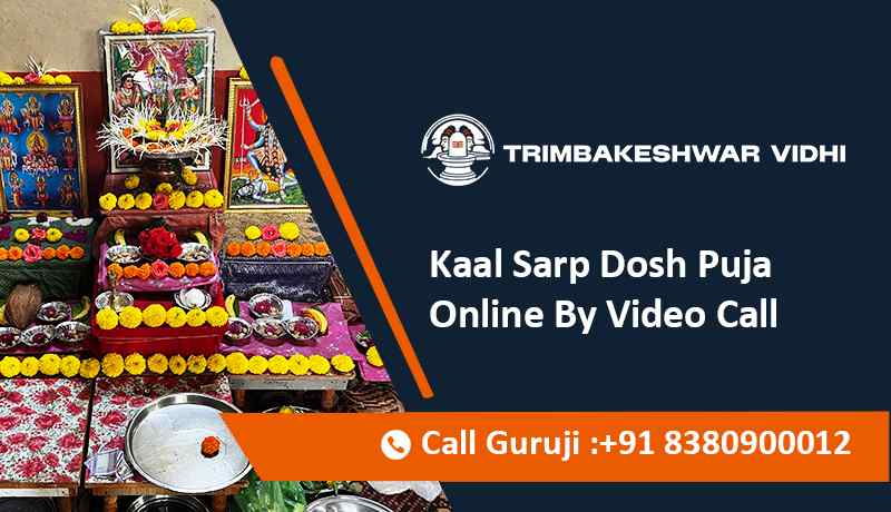 Kaal Sarp Dosh Puja Online By Video Call