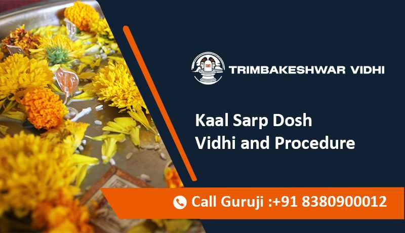 Kaal Sarp Dosh Vidhi and Procedure