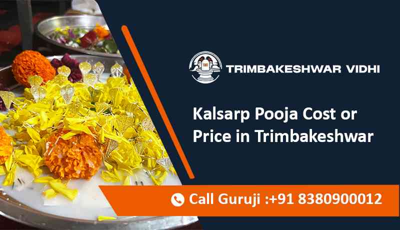 Kalsarp Pooja Cost or Price in Trimbakeshwar