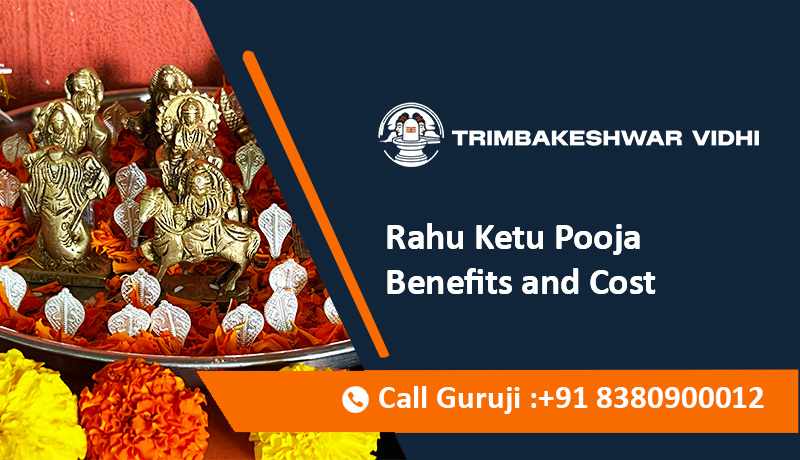 Rahu Ketu Pooja Benefits and Cost