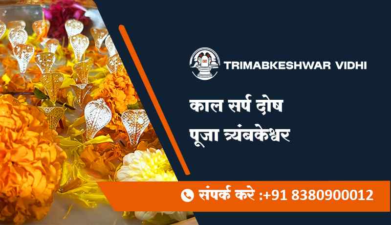 काल सर्प दोष पूजा त्र्यंबकेश्वर