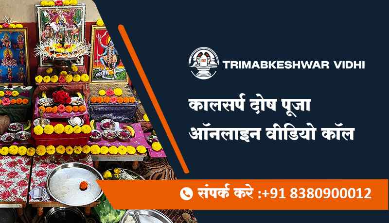 कालसर्प दोष पूजा ऑनलाइन वीडियो कॉल