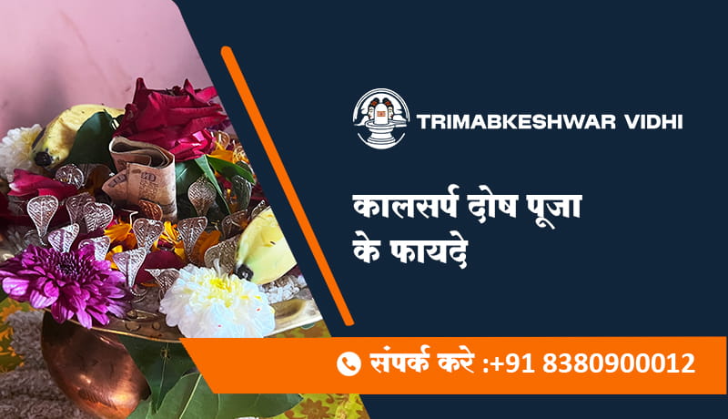 कालसर्प दोष पूजा के फायदे