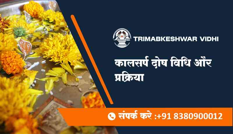 कालसर्प दोष पूजा विधि और प्रक्रिया