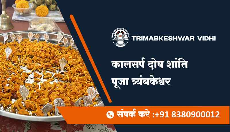 कालसर्प दोष शांति पूजा त्र्यंबकेश्वर